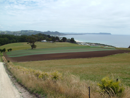 gallery/Turf Paddocks and Fields/DSCF1482.JPG