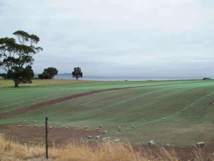 gallery/Turf Paddocks and Fields/DSCF1484.jpg