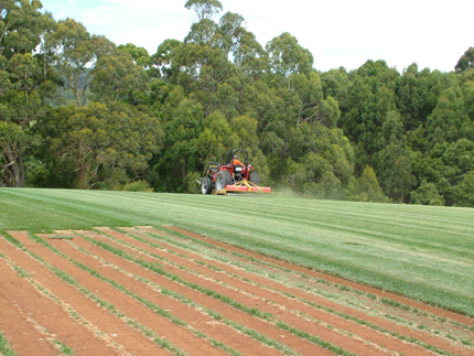 gallery/Turf Paddocks and Fields/DSCF1518.JPG