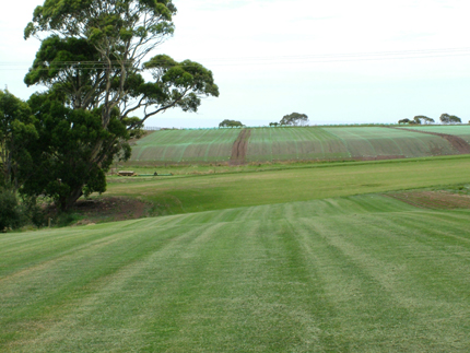 gallery/Turf Paddocks and Fields/DSCF1520.JPG